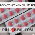 Kamagra Oral Jelly 100Mg Gel 19
